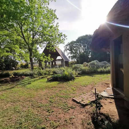 Drakensberg Bush Lodge And Backpackers 윈터턴 외부 사진