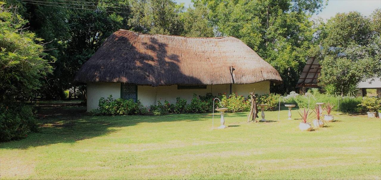 Drakensberg Bush Lodge And Backpackers 윈터턴 외부 사진