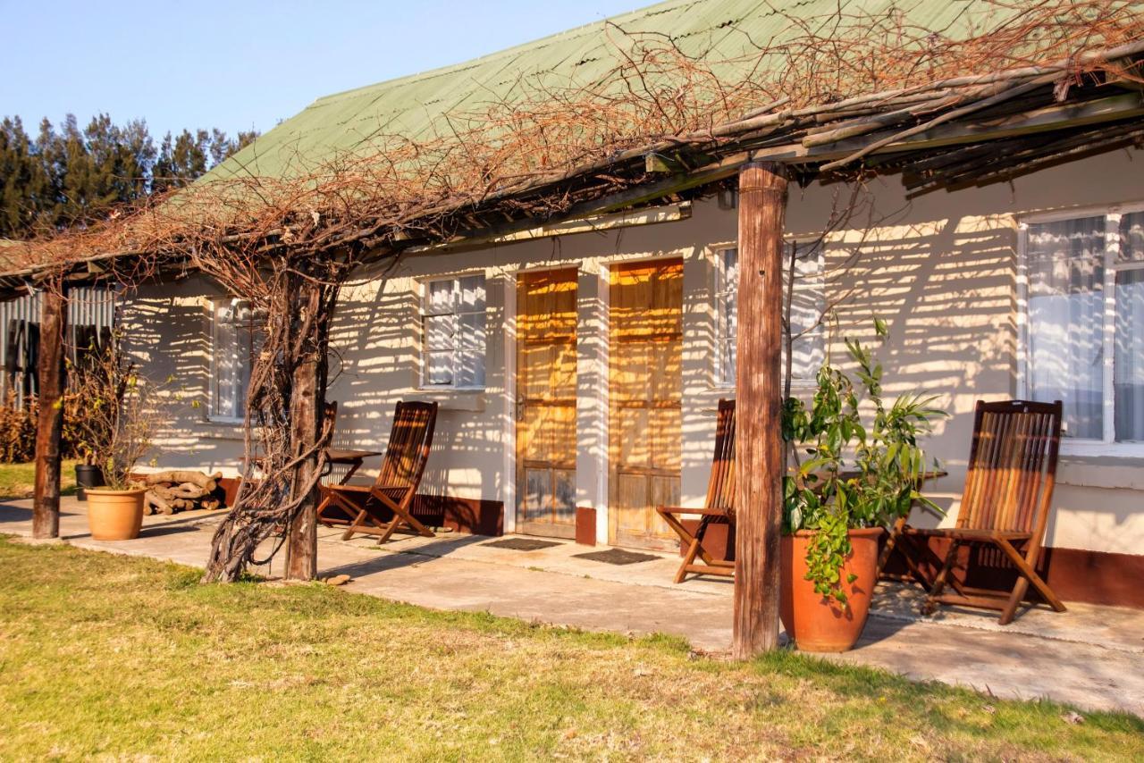 Drakensberg Bush Lodge And Backpackers 윈터턴 외부 사진