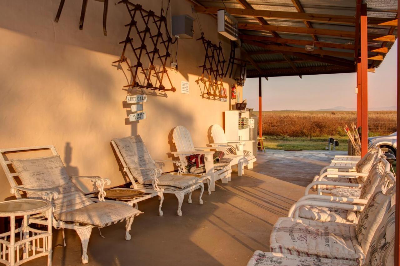 Drakensberg Bush Lodge And Backpackers 윈터턴 외부 사진