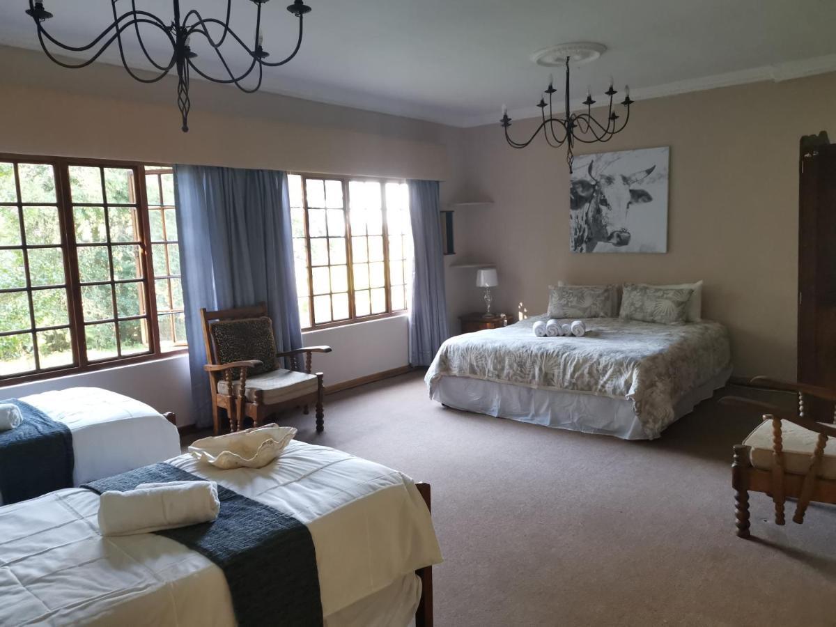 Drakensberg Bush Lodge And Backpackers 윈터턴 외부 사진